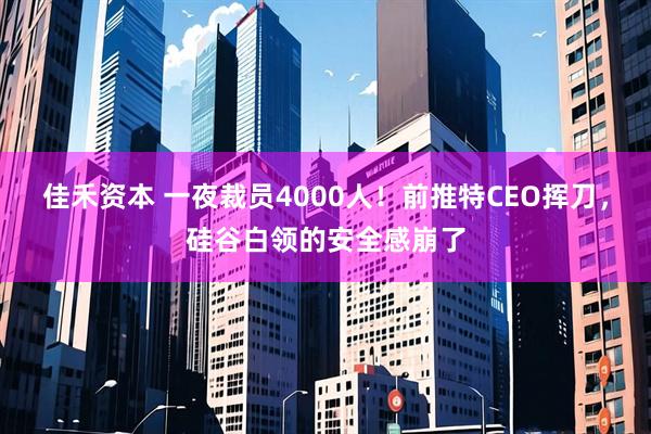 佳禾资本 一夜裁员4000人！前推特CEO挥刀，硅谷白领的安全感崩了
