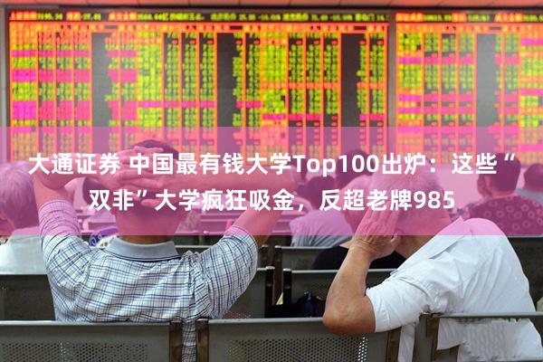 大通证券 中国最有钱大学Top100出炉：这些“双非”大学疯狂吸金，反超老牌985