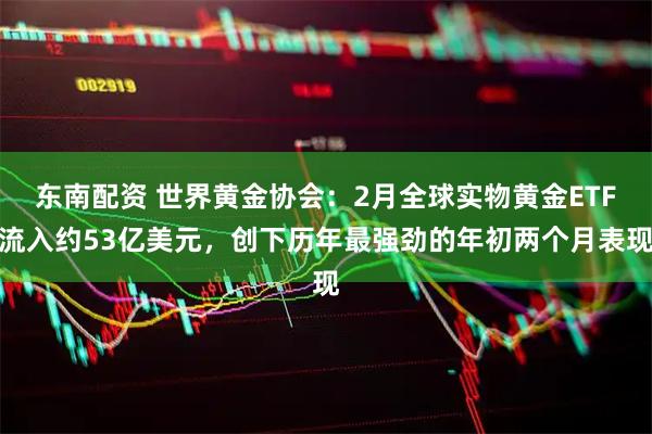 东南配资 世界黄金协会：2月全球实物黄金ETF流入约53亿美元，创下历年最强劲的年初两个月表现