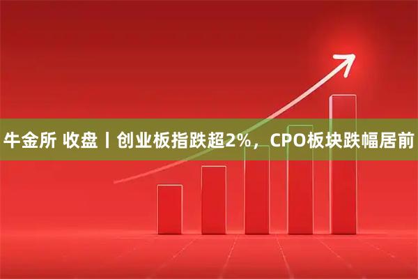 牛金所 收盘丨创业板指跌超2%，CPO板块跌幅居前